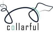 Collarful | Stílusos és egyedi kutya nyakörvek, pórázok                        