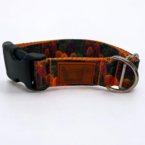 Erdő mélyén kutya nyakörv