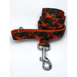 Erdő mélyén kutya póráz