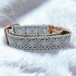 Esküvői kutya nyakörv