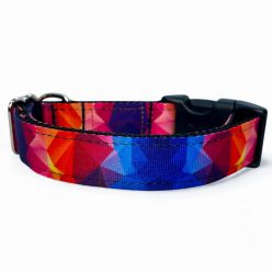 Kavalkád kutya nyakörv