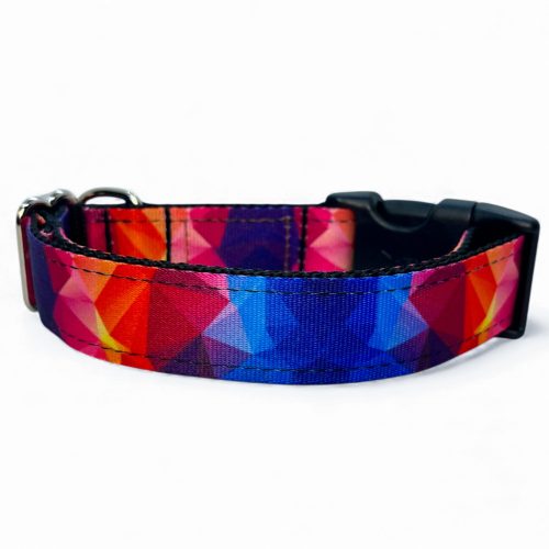 Kavalkád kutya nyakörv