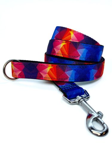 Kavalkád kutya póráz