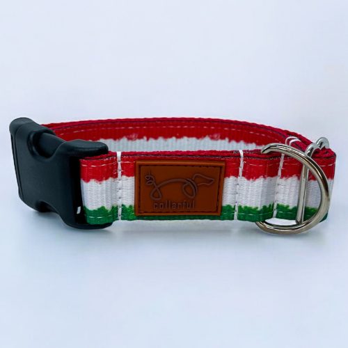 Hajrá, Magyarország! kutya nyakörv és póráz szett