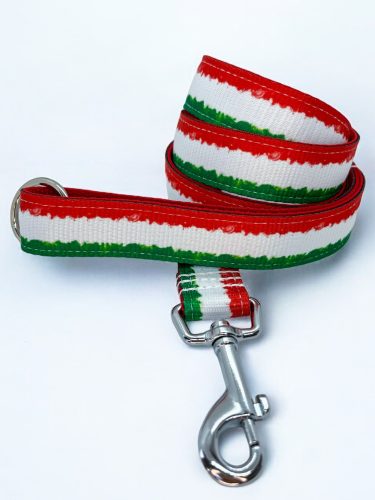 Hajrá, Magyarország! kutya nyakörv és póráz szett