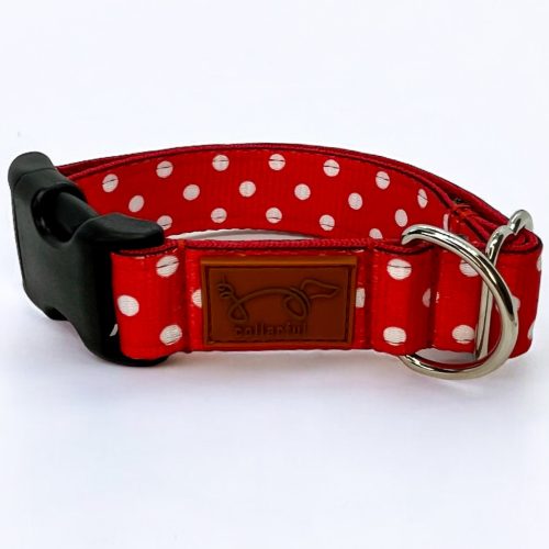 Pötyi kutya nyakörv és póráz szett