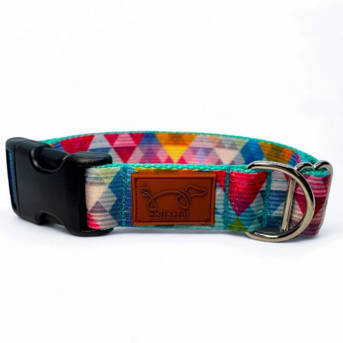 Prizma kutya nyakörv