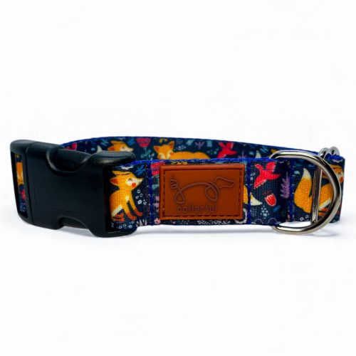 Rókás kutya nyakörv és póráz szett