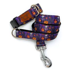 Rosszcsont Lidérc kutya nyakörv és póráz szett