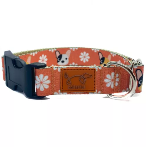 Rózsaszín bucis kutya nyakörv