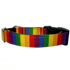 Szivárvány kutya nyakörv