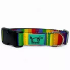 Szivárvány kutya nyakörv