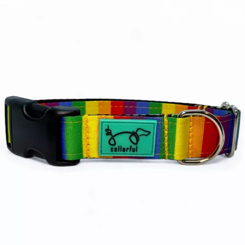 Szivárvány kutya nyakörv