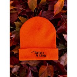 télisapi - pumpkin patch