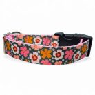 Virágom, virágom kutya nyakörv és póráz szett