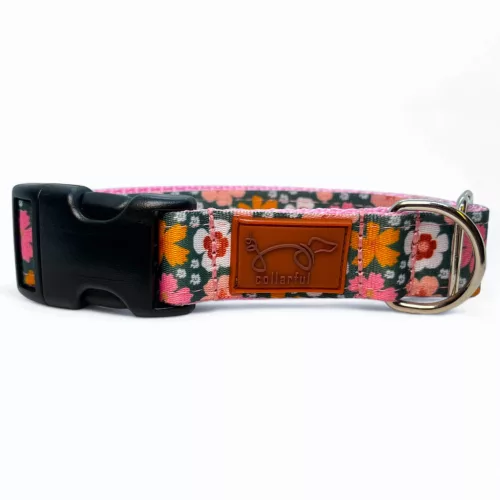 Virágom, virágom kutya nyakörv