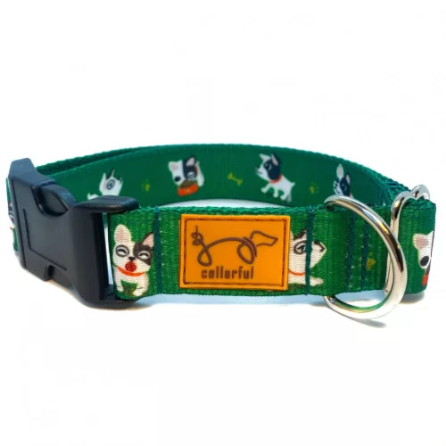 Zöld bucis kutya nyakörv